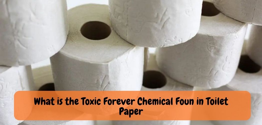 There Harmful Chemicals In Toilet Paper