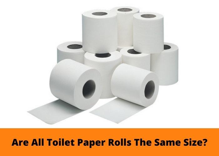 Are All Toilet Paper Rolls The Same Size