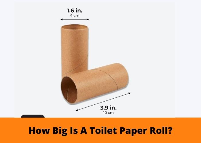 How Big Is A Toilet Paper Roll?