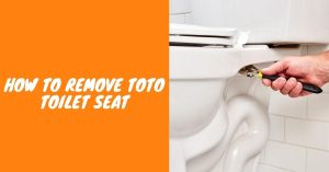 How To Remove Toto Toilet Seat: An Easy-breezy Guide for Toilet Seat ...