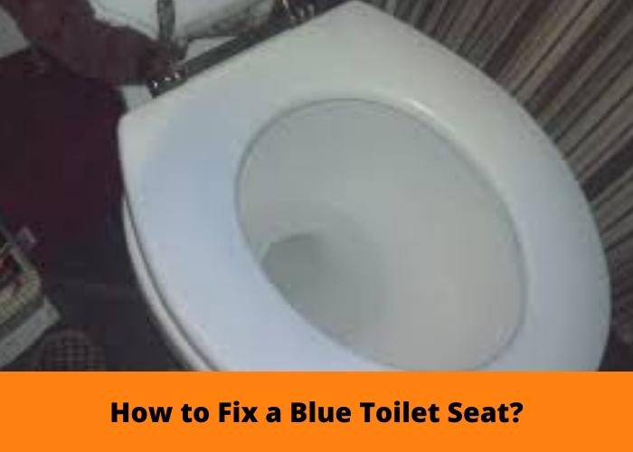 How to Fix a Blue Toilet Seat
