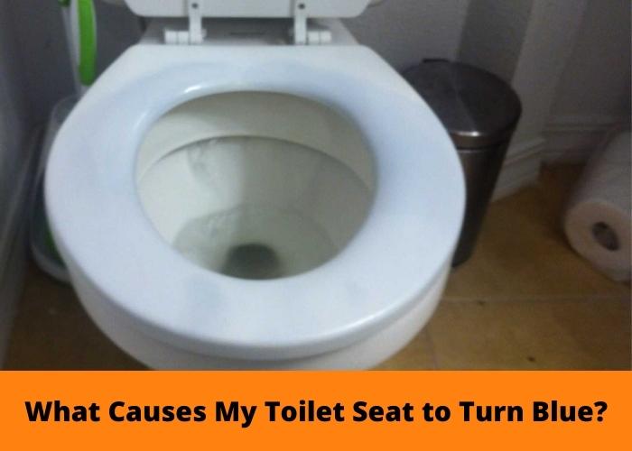 What Causes My Toilet Seat to Turn Blue