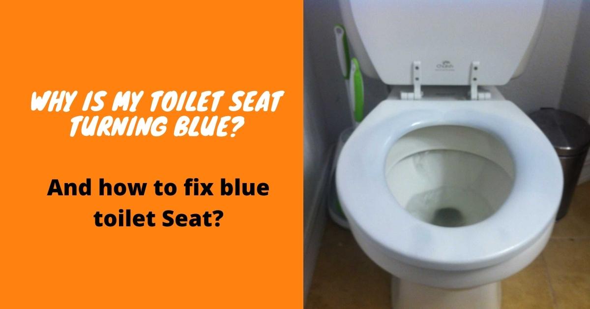 Why is my toilet seat turning blue