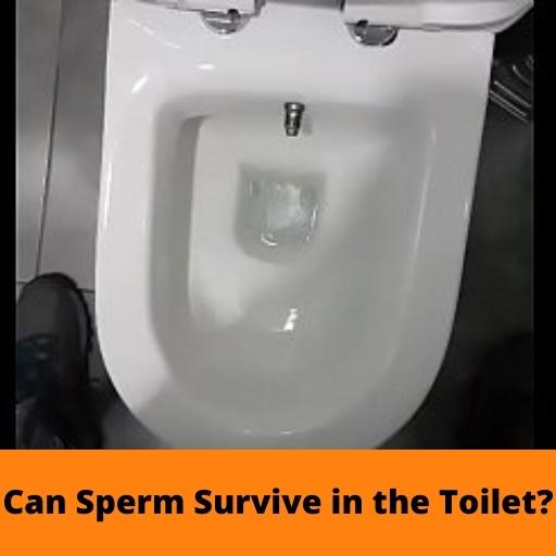 Can Sperm Survive in the Toilet?