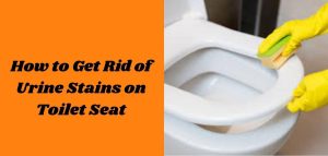 How to Get Rid of Urine Stains on Toilet Seat? Easy-Breezy Solution