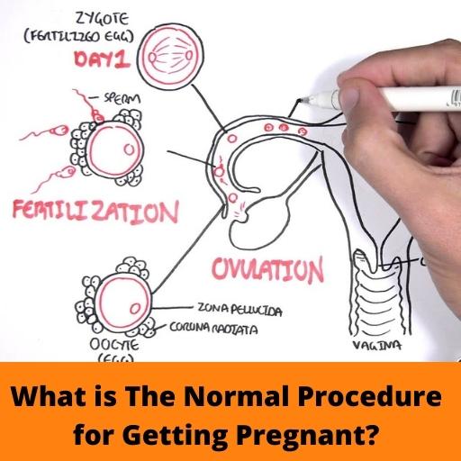 What is The Normal Procedure for Getting Pregnant