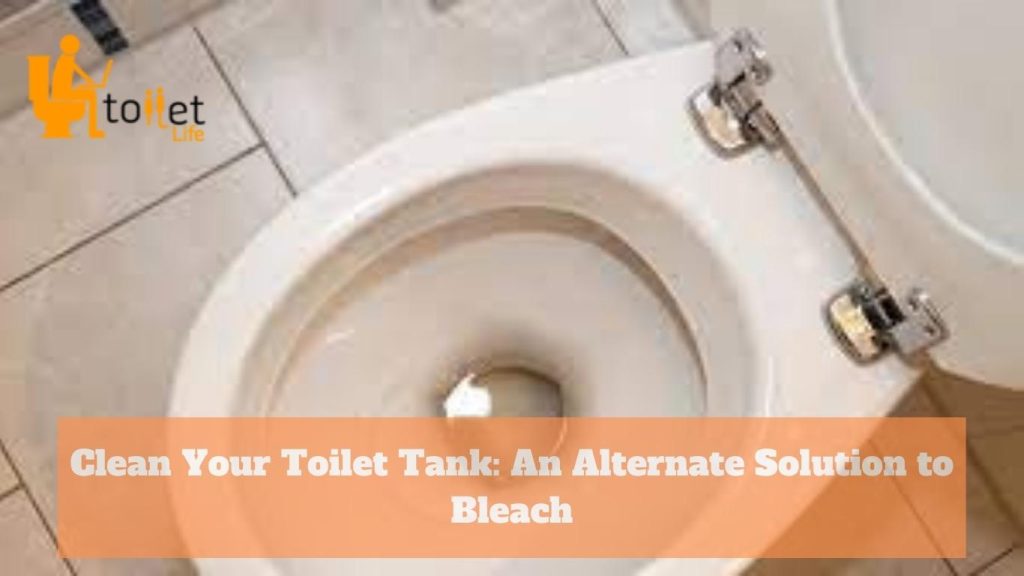 Clean Your Toilet Tank: An Alternate Solution to Bleach