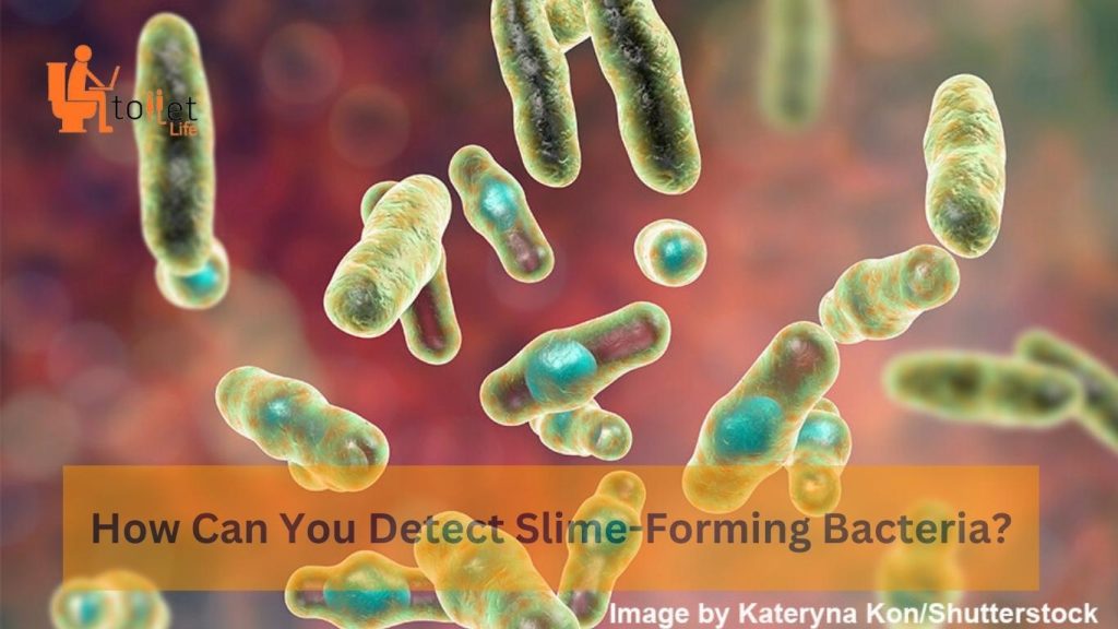 How Can You Detect Slime-Forming Bacteria
