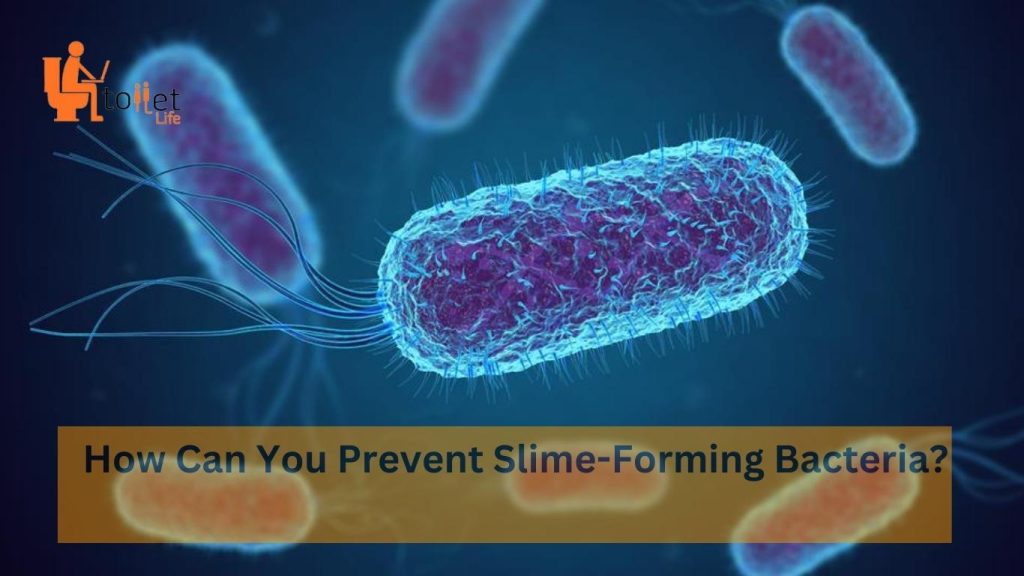 How Can You Prevent Slime-Forming Bacteria