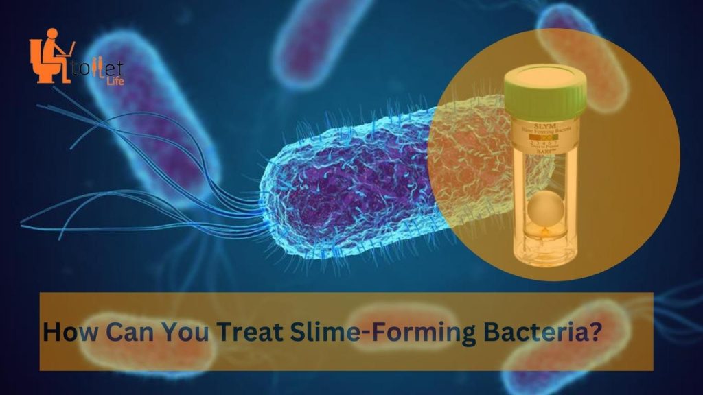 How Can You Treat Slime-Forming Bacteria