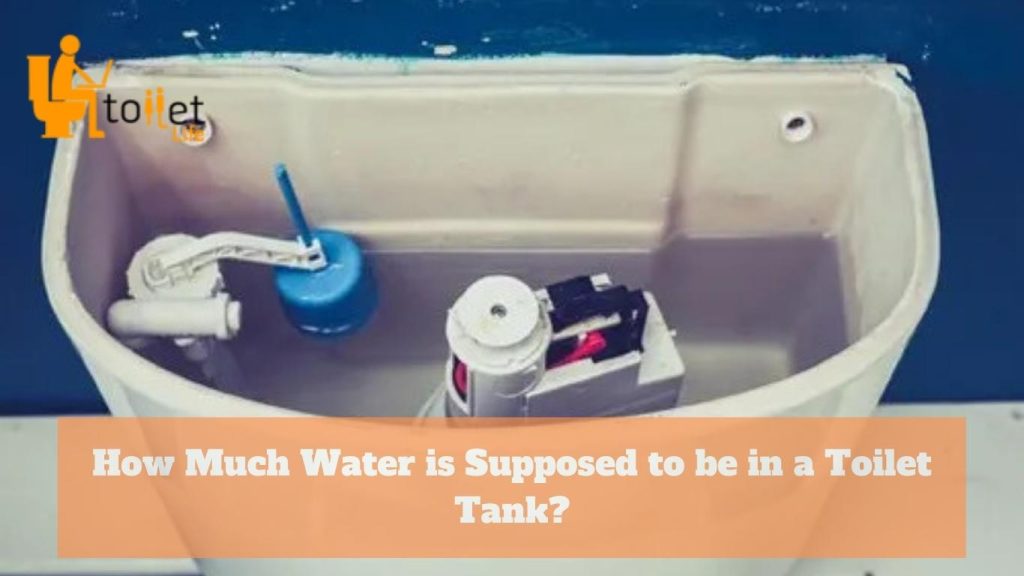 How Much Water is Supposed to be in a Toilet Tank?