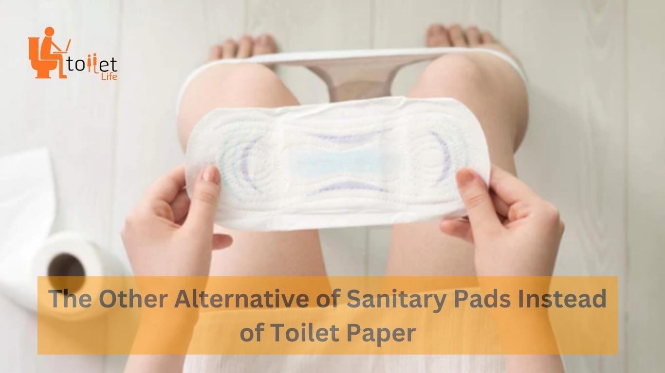 Can You Use Toilet Paper as a Pad? What are The Best Alternatives?