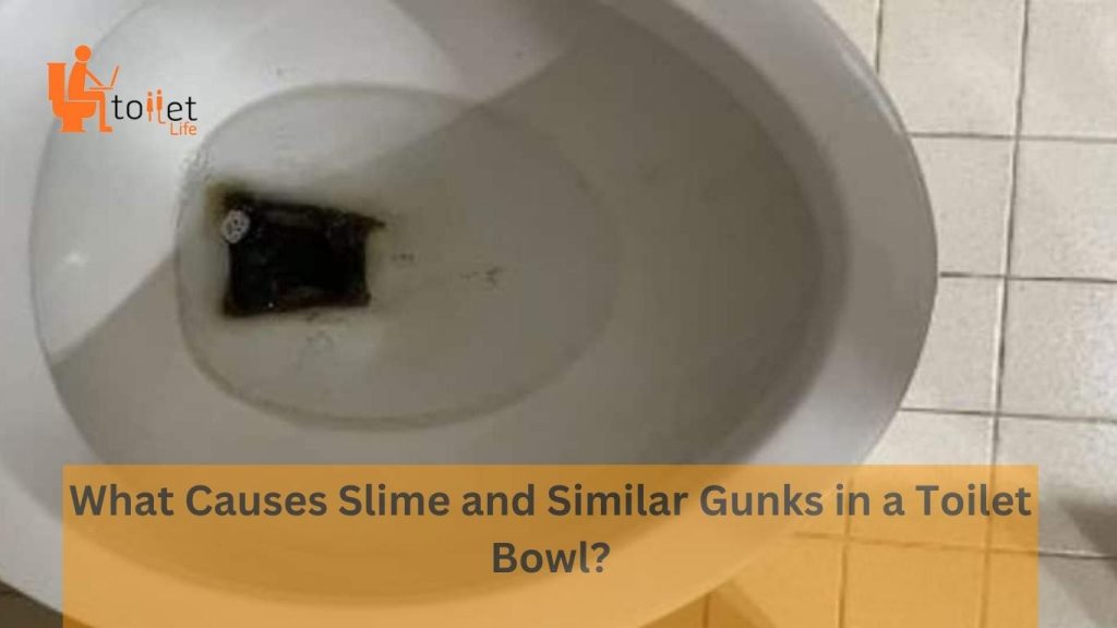 What Causes Slime and Similar Gunks in a Toilet Bowl