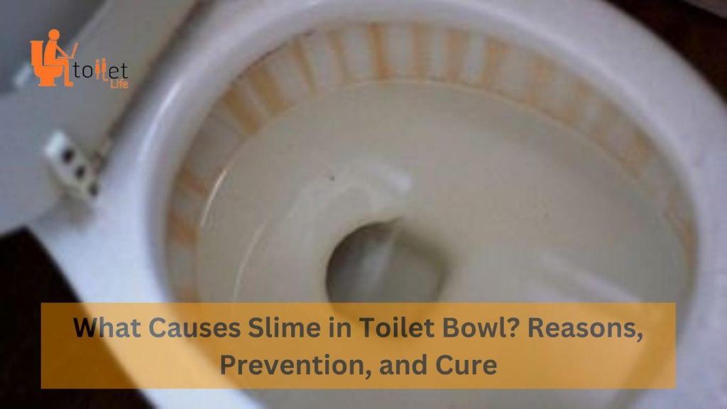 what-causes-slime-in-toilet-bowl-reasons-prevention-and-cure