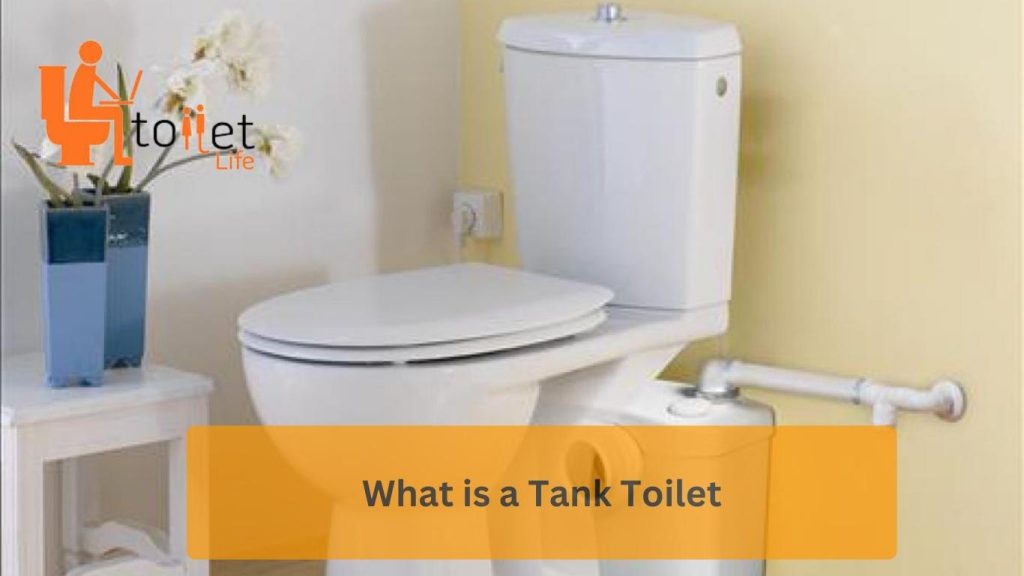 Tankless Toilet vs Tank Toilet: Head-to-Head Comparison