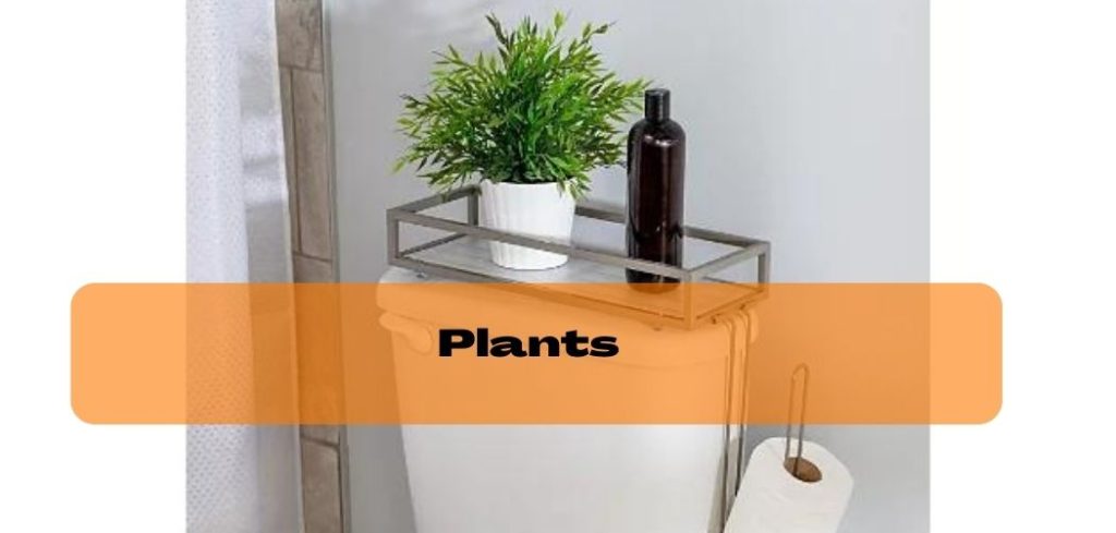 Plants on Toilet Tank for Decoration
