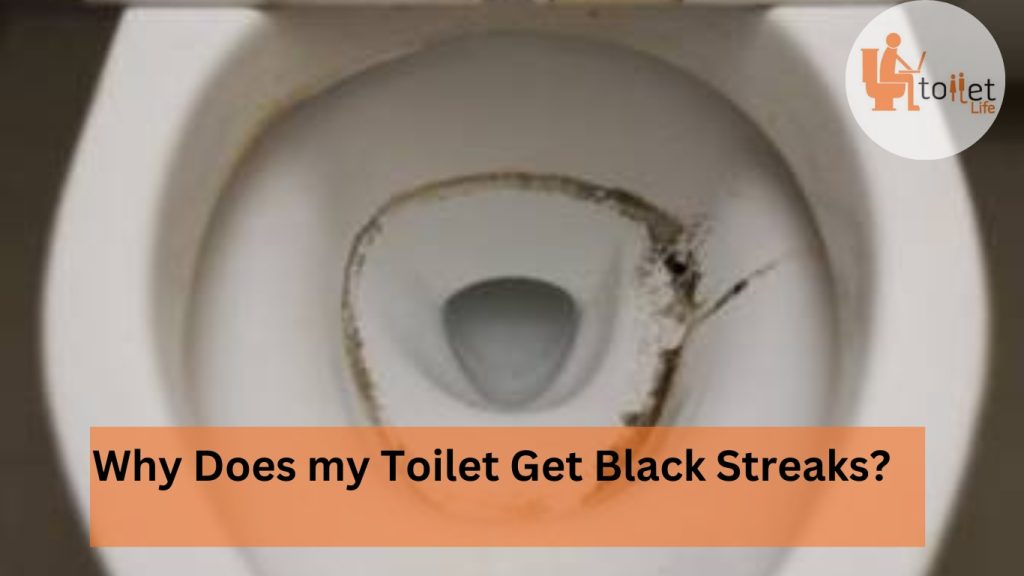 Why Does my Toilet Get Black Streaks