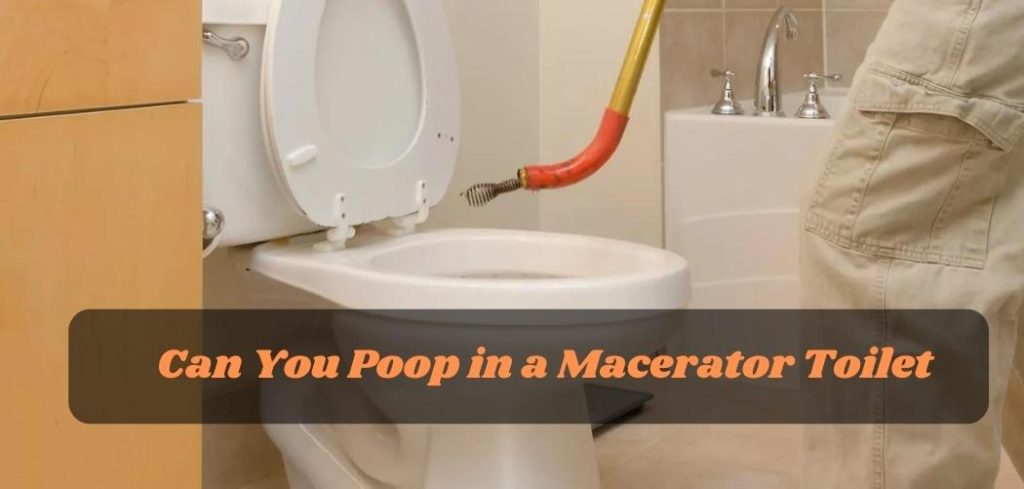 Can You Poop in a Macerator Toilet