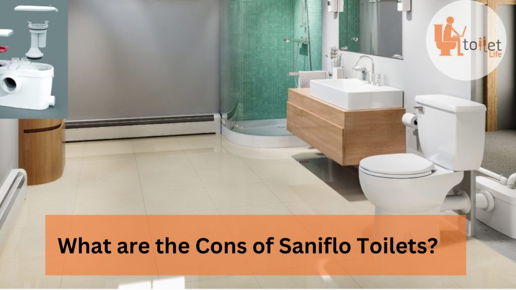 What are the Cons of Saniflo Toilets?