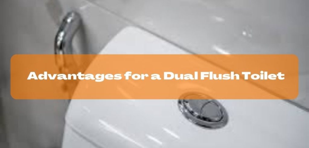 Advantages for a Dual Flush Toilet