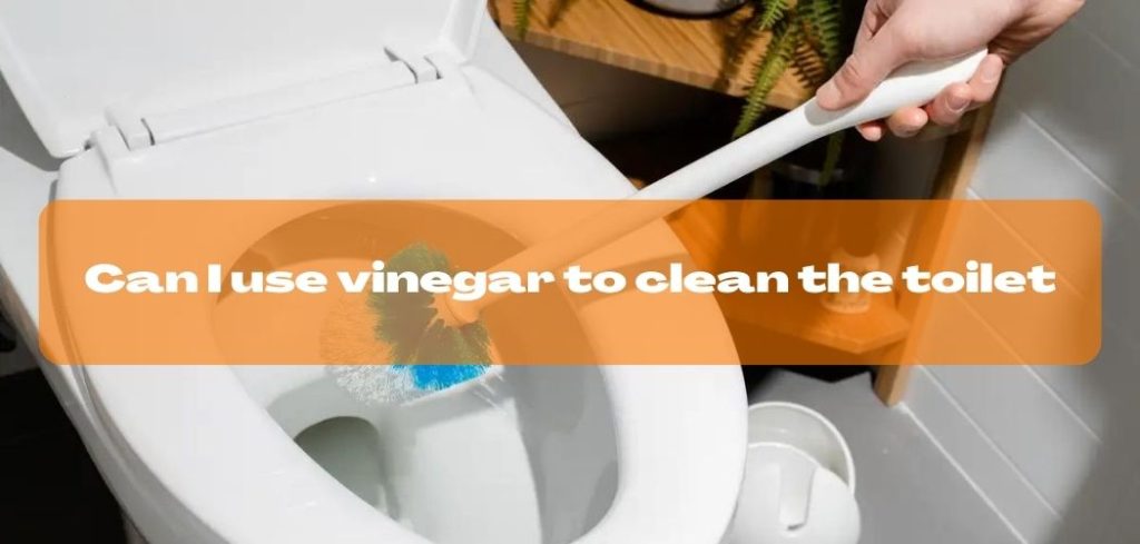 Can I use vinegar to clean the toilet