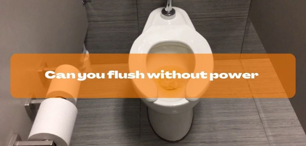Can you flush without power