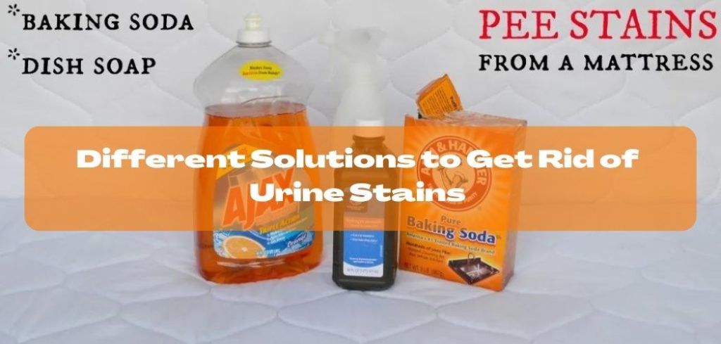 Different Solutions to Get Rid of Urine Stains