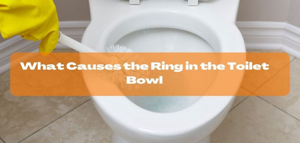 What Causes the Ring in the Toilet Bowl