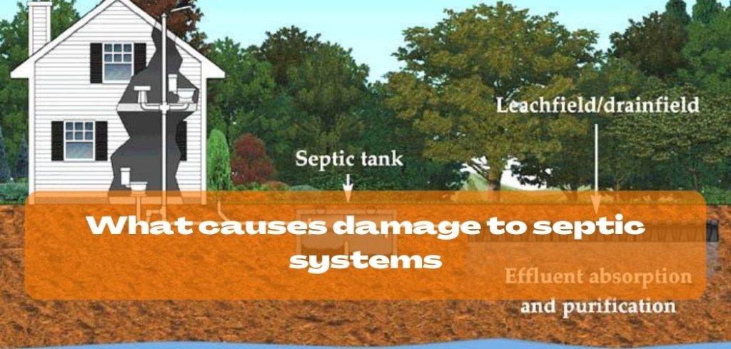 What causes damage to septic systems