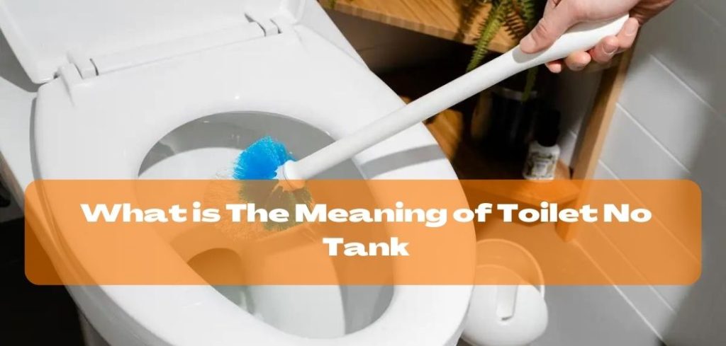 What is The Meaning of Toilet No Tank
