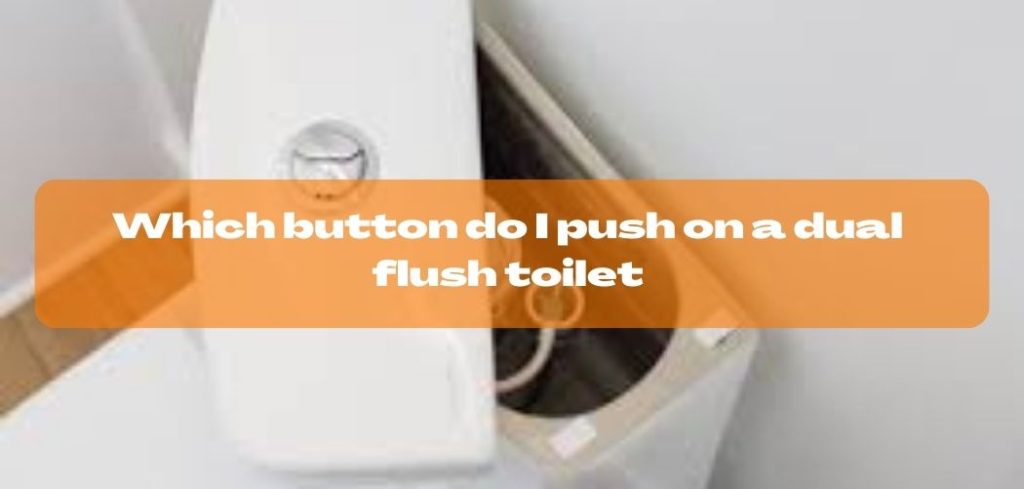 Which button do I push on a dual flush toilet