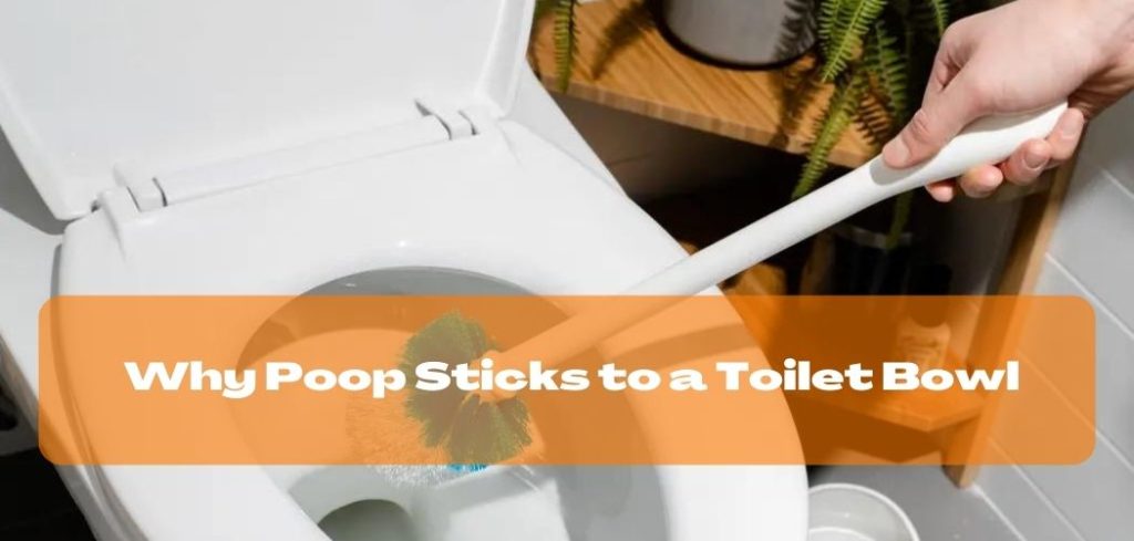 Why Poop Sticks to a Toilet Bowl