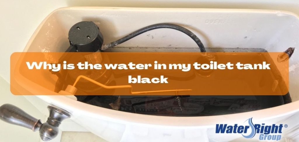 Why is the water in my toilet tank black