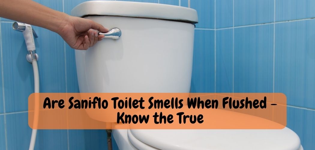 Are Saniflo Toilet Smells When Flushed Know the True