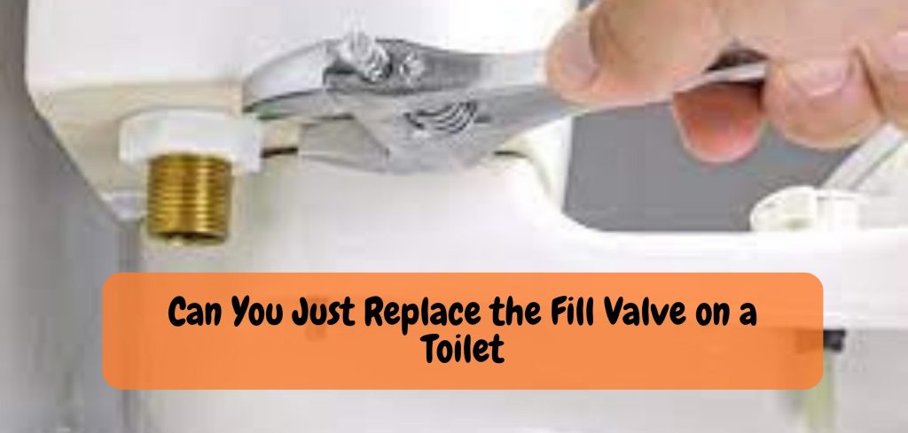 Are Toilet Flush Valves Universal 1