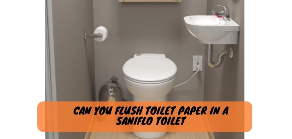 Can You Flush Toilet Paper in a Saniflo Toilet