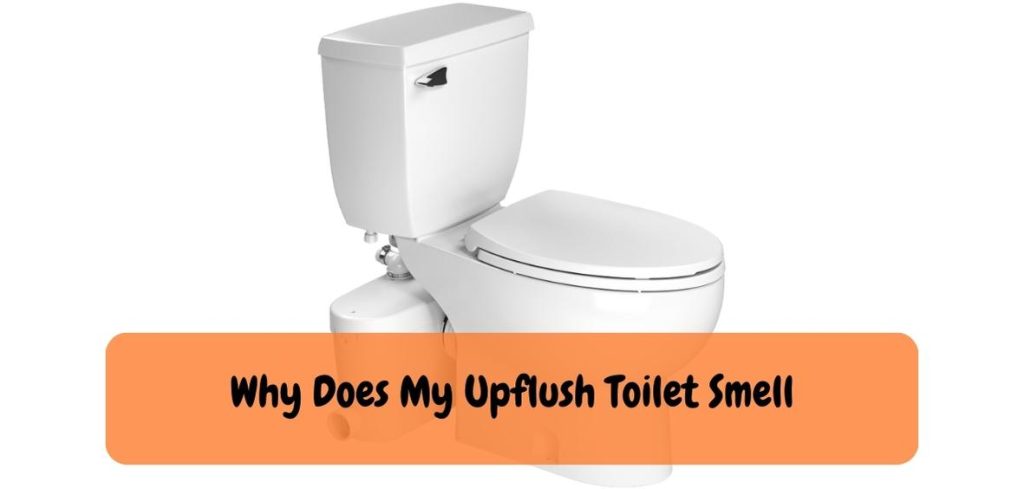 Can You Plunge a Upflush Toilet 1 1