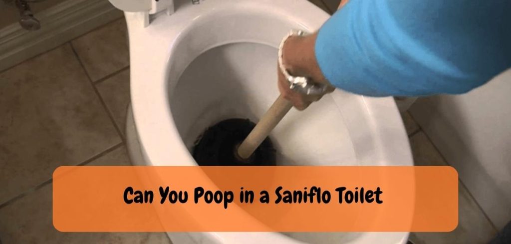 Can You Poop in a Saniflo Toilet 1 1