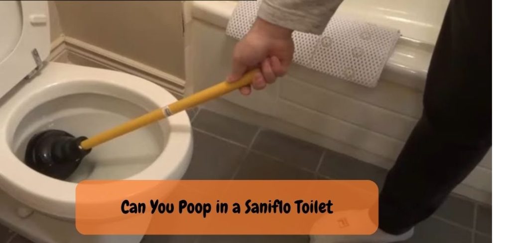 Can You Poop in a Saniflo Toilet 1