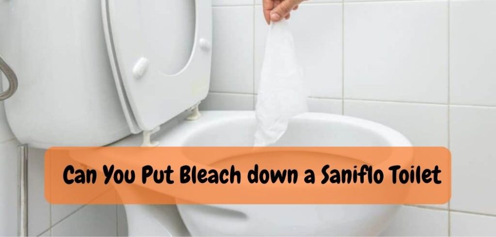 Can You Put Bleach down a Saniflo Toilet