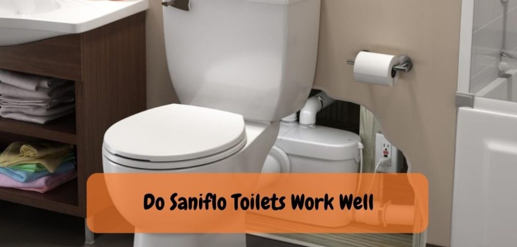 Do Saniflo Toilets Work Well 1