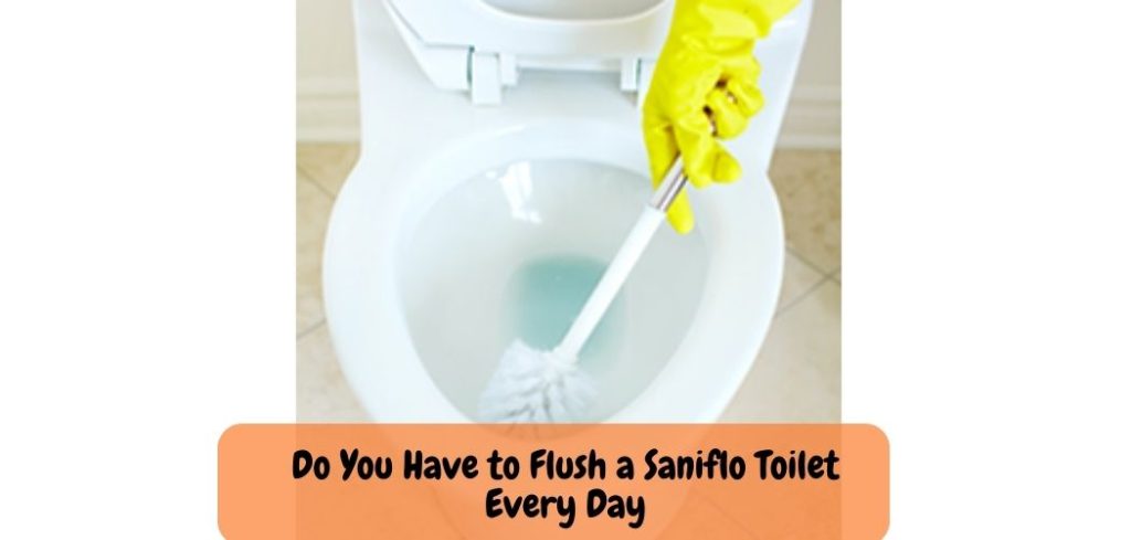 Do You Have to Flush a Saniflo Toilet Every Day 1