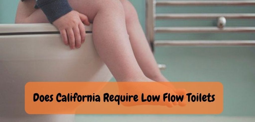 Does California Require Low Flow Toilets