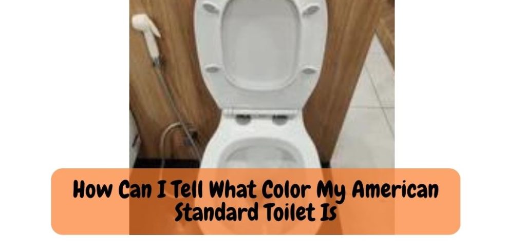 How Can I Tell What Color My American Standard Toilet Is