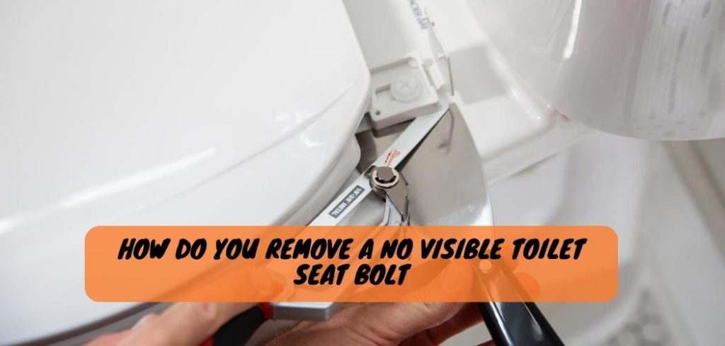 How Do You Remove a No Visible Toilet Seat Bolt