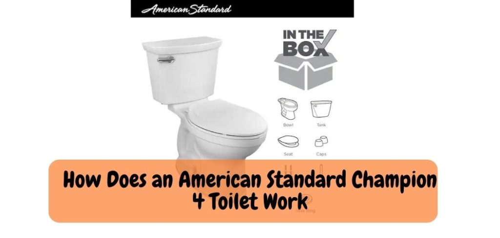 How Does an American Standard Champion 4 Toilet Work