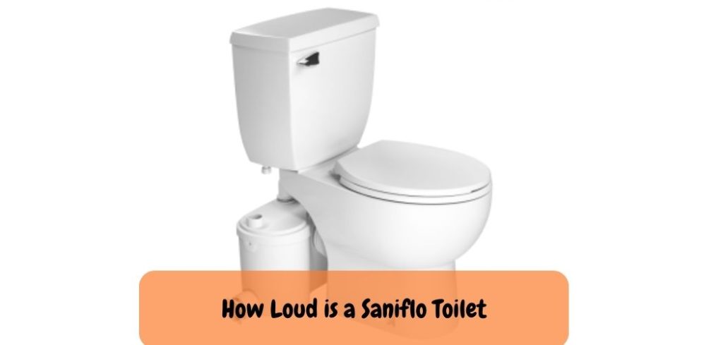 How Loud is a Saniflo Toilet