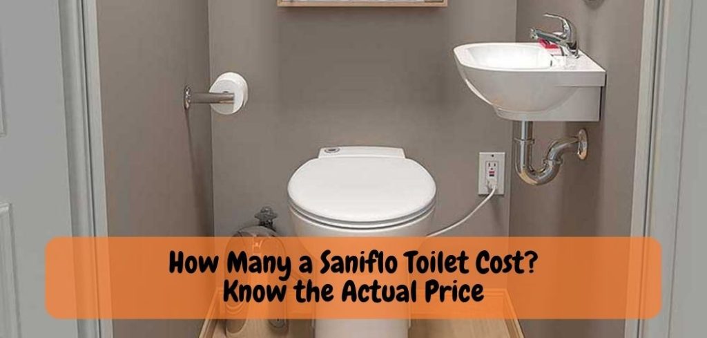 How Many a Saniflo Toilet Cost Know the Actual Price