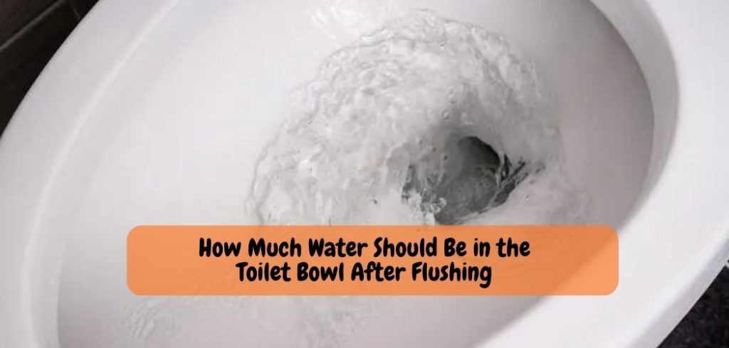 How Much Water Should Be in the Toilet Bowl After Flushing