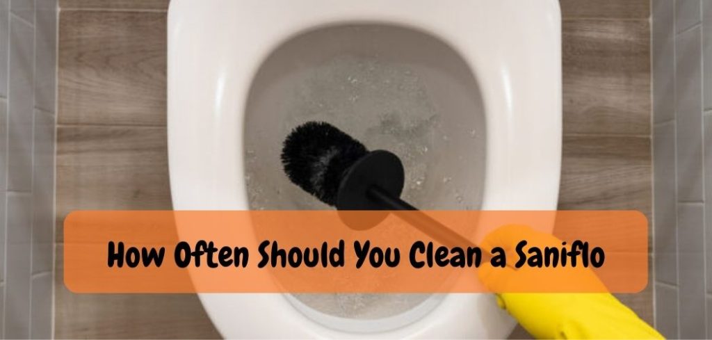 How Often Should You Clean a Saniflo